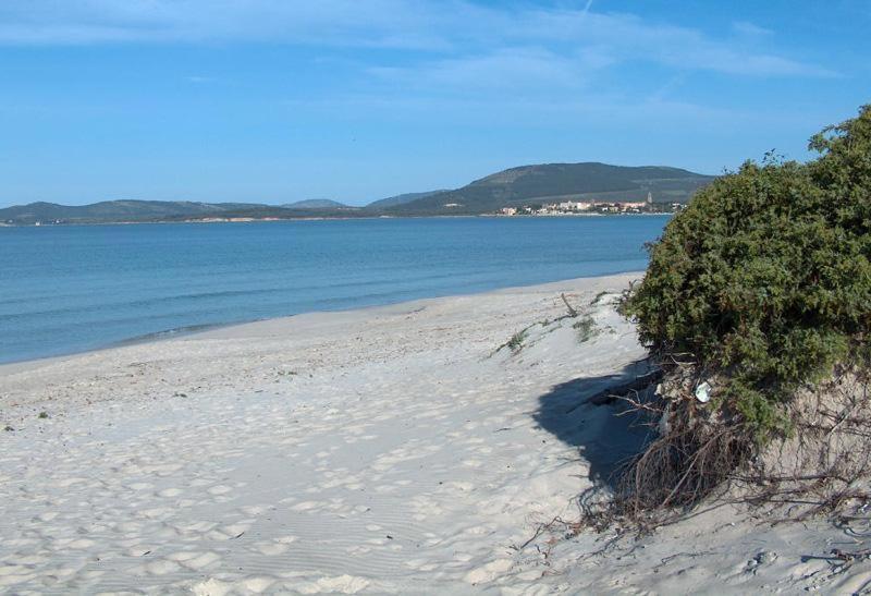 אלגהרו Appartamento A Pochi Passi Dalla Spiaggia מראה חיצוני תמונה